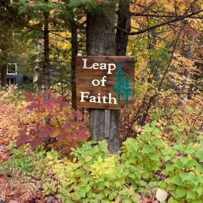 Leap of FAITH