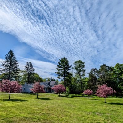 Blackberry Farmhouse
